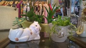 Porcelain planters, $18